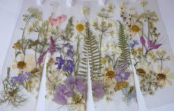 Pressed Flower Bookmark